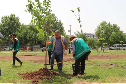 Parklar Yaz Mevsimine Hazırlanıyor