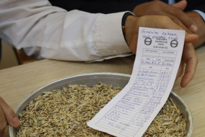 Şanlıurfa'da Sezonun İlk Arpa Hasadı Yapıldı