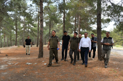 Vali Şıldak, Atatürk Ormanını Ziyaret Etti