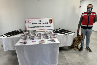 Şanlıurfa İl Jandarma'dan 13 İlçede Aynı Anda Dev Operasyon
