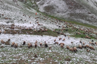 Mayıs Ayında Kar Yağışları Devam Ediyor