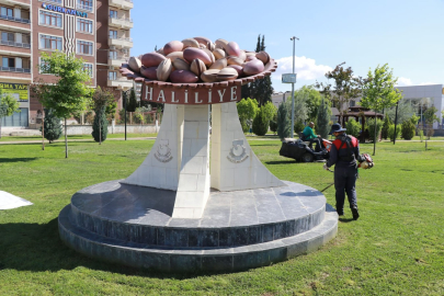 Daha Yeşil Bir Haliliye İçin Çalışmalar Sürüyor