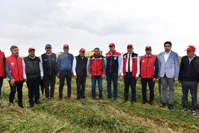 Şanlıurfa’da Hasat Dönemi Başladı