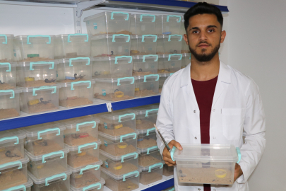 Şanlıurfa'dan Yurt Dışına Akrep Zehri Satıyor