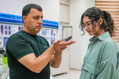 Bölgede Görünen "Yamyam Tombul Çekirge" İnceleniyor