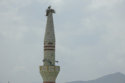 Minarenin Onarılması Leylek Nedeniyle Ertelendi