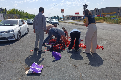 Şanlıurfa'da Kırmızı Biber Yardımı
