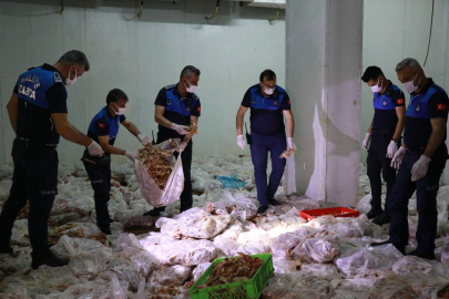 10 Ton Kokmuş Tavuk Yakalandı