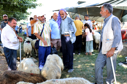 Hayvan Pazarlarında Hareketlilik