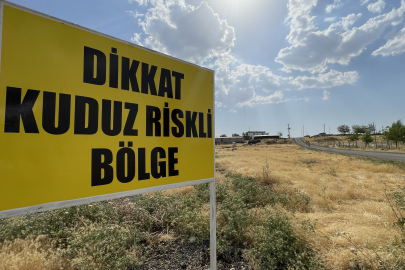 Kuduz Görünen Mahalle Karantinada