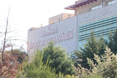 Ekmeğinin Peşinde Hayatını Kaybetti
