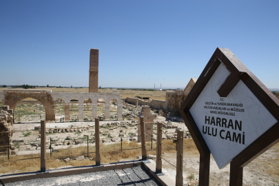 Harran Ulu Cami Ziyarete Açıldı