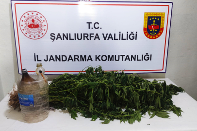 Şanlıurfa'da Uyuşturucu Operasyonu