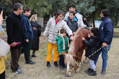 Şanlıurfa’da Atla Terapi Hizmeti