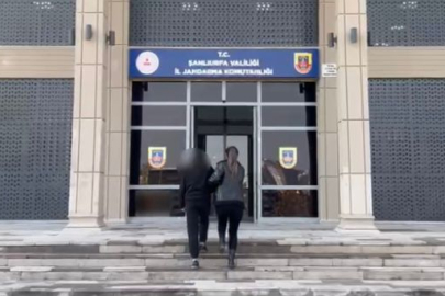 Şanlıurfa'da Terörist Teslim Oldu
