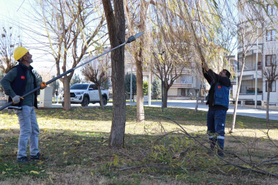 Haliliye’de Peyzaj Çalışmaları Sürüyor