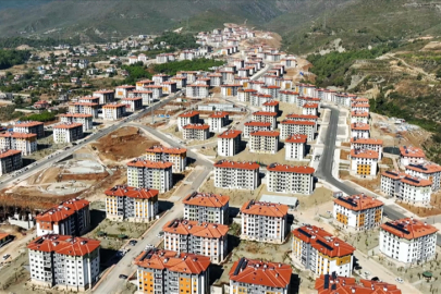 Nüfus Yeniden Artmaya Başladı