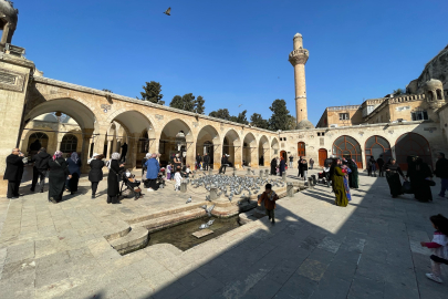 Şanlıurfa’da Güneşi Fırsat Buldular