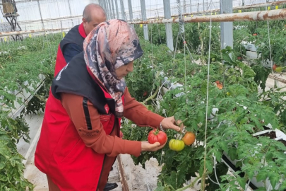 Zirai İlaç Kalıntısı Denetimi Yapıldı