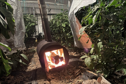 Meteorolojiden Zirai Don Uyarısı