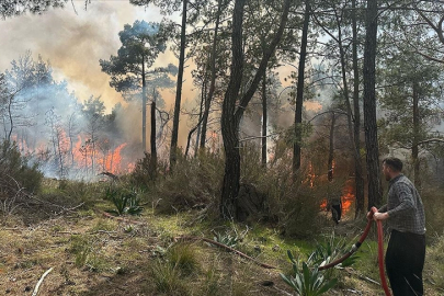 Antalya'da Orman Yangını