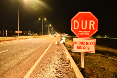 Komşu Kentte Kuduz Karantinası