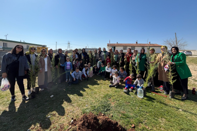 Suruç'ta Fidanlar Toprakla Buluştu