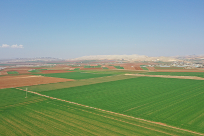 Şanlıurfa'da Kuraklık Tehlikesi