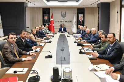 Gündem Sahipsiz Hayvan Sorunu