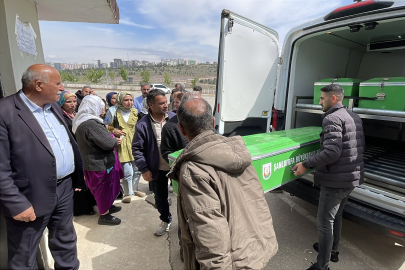 Sahipsiz Köpekler Hayattan Kopardı