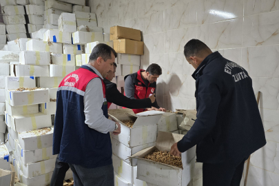 11 Ton Küflenmiş Ceviz Yakalandı