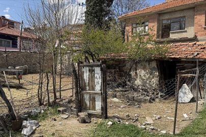 Köpekler 7 Koyunu Telef Etti