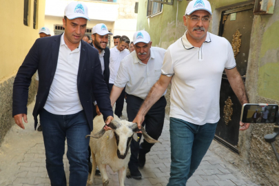 Evlere Teslim Canlı Kurbanlık