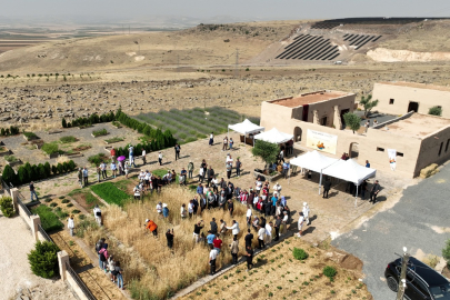 Şanlıurfa’da Buğdayın Serüveni
