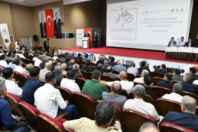 Şanlıurfa’da Pamuk Masaya Yatırıldı
