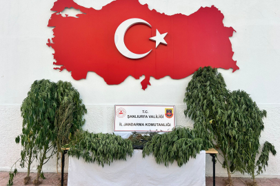 Şanlıurfa'da Uyuşturucu Operasyonu