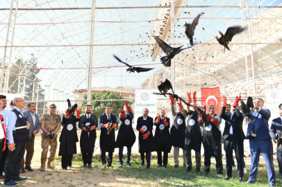 45 Kelaynak Göç İçin Bırakıldı