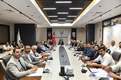 Sahipsiz Hayvanlara Yönelik Çalışma