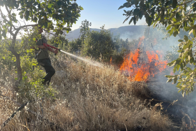 Orman Yangınına Urfa’dan Destek