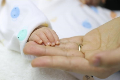 Doğurganlığın Düşüşü Araştırılıyor