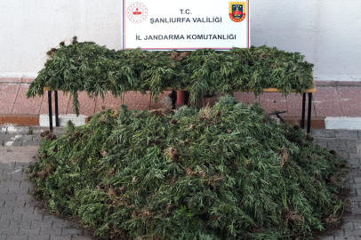 Operasyonda 9 Şüpheli Yakalandı
