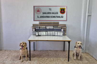 Gümrük Kaçağı Sigara Yakalandı