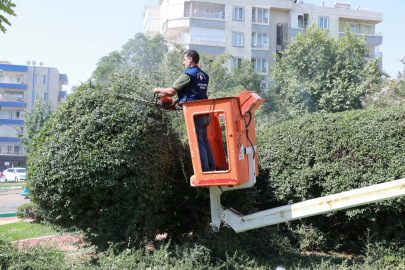 Haliliye’de Parklarda Yenileme