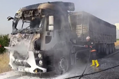 Urfa’da Tır Alevlere Teslim Oldu