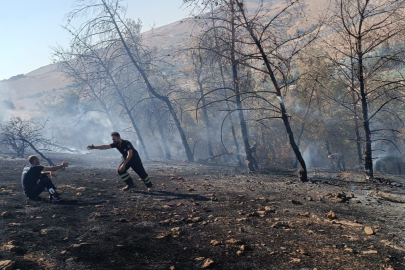 Urfa'da Orman Yangınına Müdahale