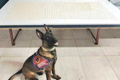 Operasyonda 2 Şüpheli Yakalandı