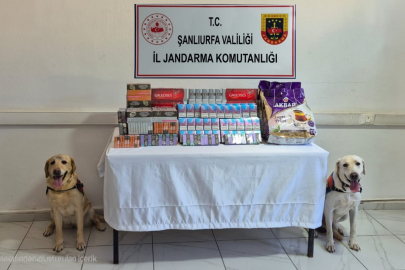 Gümrük Kaçağı Sigara Yakalandı