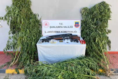 Uyuşturucu ve Silah Kaçakçılığı
