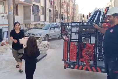 Urfa'da Kedi Kurtarma Operasyonu