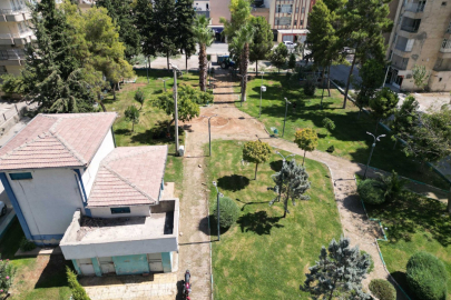Haliliye’de Ağaçlandırma Seferberliği